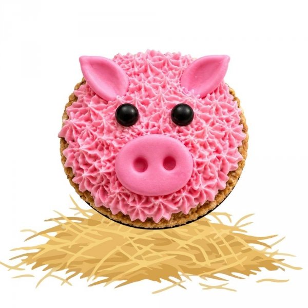 KOŃSKA CUKIERENKA. MUFFINKA FARMA Smakołyki/Cukierki naturalne dla koni
