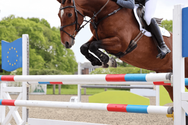 SHIRES EQUESTRIAN ARMA OXI-ZONE Ochraniacze skokowe przednie