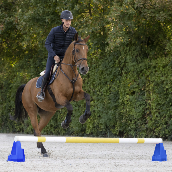 WALDHAUSEN Przeszkoda / Cavaletti dla konia