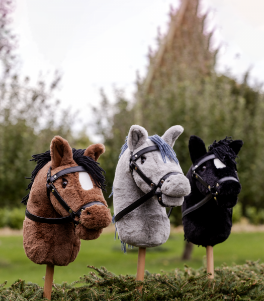 WALDHAUSEN HOBBY HORSE 