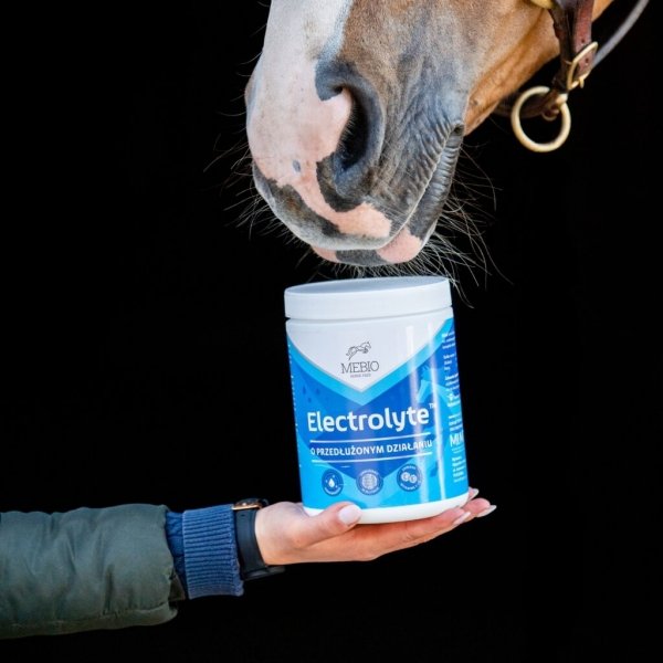 MEBIO ELECTROLYTE Elektrolity o przedłużonym działaniu 5kg