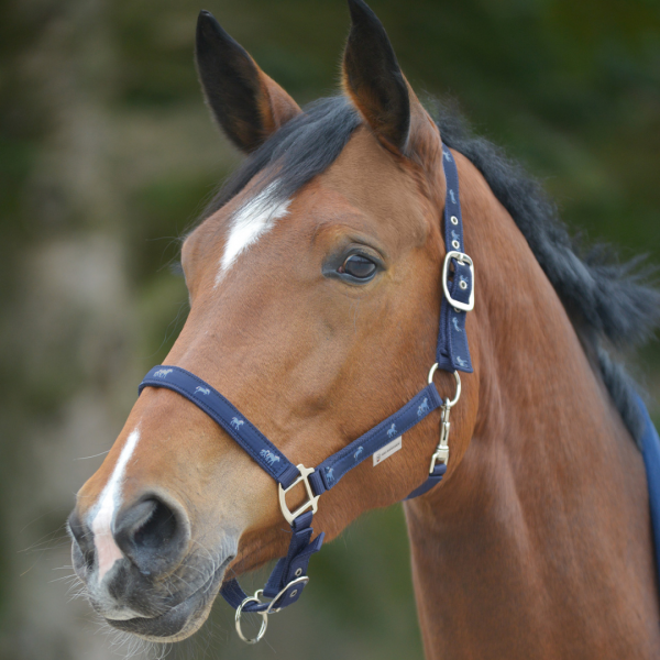 WALDHAUSEN LITTLE HORSES Kantar