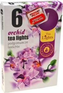 PODGRZEWACZ 6 SZTUK TEA LIGHT ORCHID