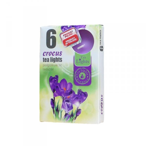 PODGRZEWACZ 6 SZTUK TEA LIGHT &quot;Krokus&quot;