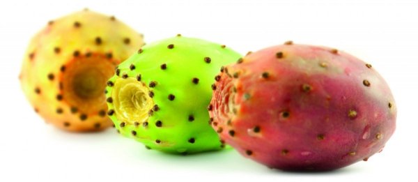RICA Opuntia Oil Balsam do Ciała 100 ml