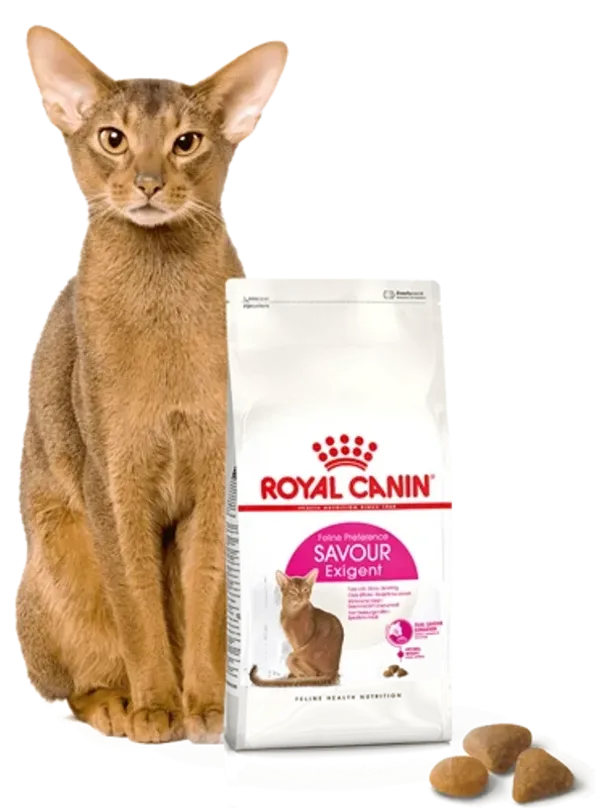 ROYAL CANIN Savour Exigent 2kg